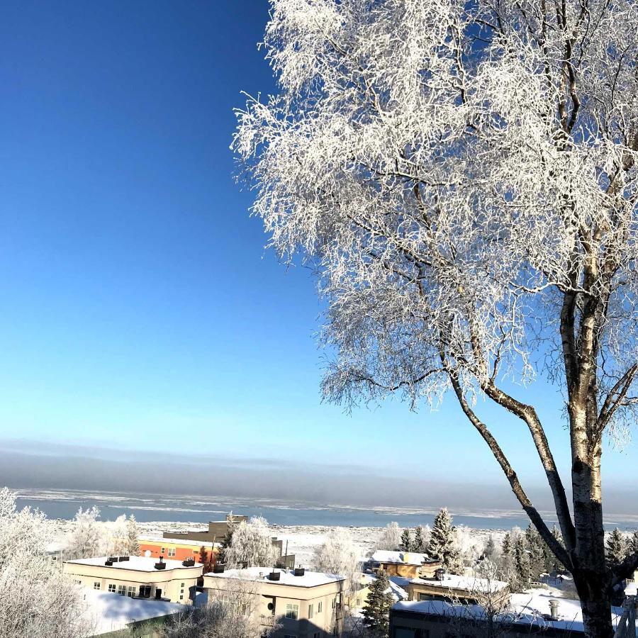 Bed and breakfast Susitna Place Anchorage